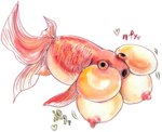 areola breasts bubble_eye_goldfish busty_feral cyprinid cypriniform female feral fin fish goldfish hi_res marine nipples non-mammal_breasts solo tail tail_fin yukikingyoo