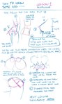 anatomy anus backsack balls butt digital_drawing_(artwork) digital_media_(artwork) doxy duo english_text female genitals how-to male not_furry reference_guide solo_focus text the_more_you_know