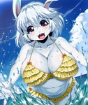 2024 68_(artist) anthro belly_rolls bikini biped blush camel_toe clothing digital_media_(artwork) eyebrows female fingers front_view hair hi_res lagomorph leporid looking_at_viewer mammal open_mouth outside rabbit solo swimwear two-piece_swimsuit water