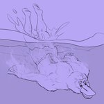 1:1 anthro awarebear beak clothed clothing diving feet fur fur_growth growth human_to_anthro male mammal membrane_(anatomy) mid_transformation monotreme muscular muscular_male platypus purple_background simple_background solo species_transformation splash topless torn_clothing transformation water webbed_hands werecreature wereplatypus