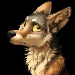 1:1 2016 :| alpha_channel ambiguous_gender black_body black_eyes black_fur black_nose brown_body brown_fur canid canine canis coyote digital_media_(artwork) feral fur headshot_portrait icon kenket looking_aside mammal multicolored_body multicolored_fur portrait reaction_image side_view simple_background solo sticker tan_sclera transparent_background unimpressed white_body white_fur yellow_sclera