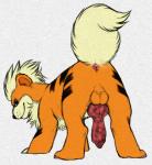 animal_genitalia animal_penis anus balls canid canine canine_genitalia canine_penis erection feral generation_1_pokemon genitals graphite_(artwork) growlithe knot looking_back male mammal nintendo nude penis pokemon pokemon_(species) python13rp simple_background solo traditional_media_(artwork) white_background yaroul