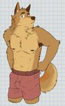 2024 5_fingers abs anthro armpit_hair biped body_hair boxers_(clothing) brown_body brown_ears brown_eyebrows brown_fur brown_nipples bulge canid canine canis cedric_(in_case_of_emergency) checkered checkered_background clothed clothing coyote digital_drawing_(artwork) digital_media_(artwork) eyebrows fingers fur hi_res in_case_of_emergency looking_at_viewer male male_anthro mammal multicolored_body muscular muscular_anthro muscular_male navel neck_tuft nipples orange_eyes orange_inner_ear partially_clothed partially_clothed_male pattern_background portrait raised_eyebrow red_clothing red_underwear simple_background solo standing three-quarter_portrait tuft underwear unsafescapewolf whiskers white_background white_sclera