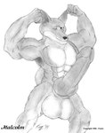 1999 5_fingers abs animal_genitalia animal_penis anthro balls big_balls big_penis biped canid canine canine_genitalia canine_penis erection fingers fist flexing flexing_bicep flexing_biceps foxen genitals glans graphite_(artwork) greyscale huge_balls huge_penis humanoid_genitalia humanoid_hands humanoid_penis hybrid_genitalia hybrid_penis hyper hyper_balls hyper_genitalia hyper_penis knot knotted_humanoid_penis knotted_penis looking_at_viewer malcolm_(foxen) male mammal monochrome muscular muscular_male nipples one_eye_closed pencil_(artwork) penis portrait shaded sheath snout solo standing three-quarter_portrait traditional_media_(artwork) unsheathed wink winking_at_viewer