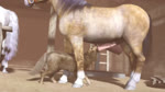 Rating: e
ID: 3851983
Date: 2023-02-03 19:35:58 -0500
Status: active
Score: 2155
16:9 2022 2023 3d_(artwork) 3d_animation ambiguous_gender anal anal_penetration anatomically_correct anatomically_correct_genitalia anatomically_correct_penis animal_genitalia animal_penis animated balls balls_deep barn big_penis bisexual bisexual_sandwich body_part_in_ass body_part_in_mouth bouncing_balls bouncing_penis breed breeding_mount bridle canid canine canis clinging cold deep_throat detailed_background digital_media_(artwork) dominant dominant_feral dominant_male duo_focus equid equine equine_genitalia equine_penis erection face_fucking face_mounting fellatio female feral feral_noises feral_on_feral feral_penetrated feral_penetrating feral_penetrating_feral feral_penetrating_male feral_pov first_person_view fluffy fluffy_tail from_behind_position fucked_silly fur genitals group group_sex horse huge_filesize implied_orgasm interspecies irrumatio larger_feral larger_male long_playtime looking_pleasured low-angle_view male male/ambiguous male/male male_feral male_on_feral male_penetrated male_penetrating male_penetrating_feral male_penetrating_male male_pov mammal mane moan mounting multiple_angles multiple_positions oral oral_penetration oral_while_penetrated outside outside_sex penetrating_pov penetrating_while_penetrated penetration penile penile_penetration penis penis_in_ass penis_in_mouth penis_size_difference quadruped realistic_feral receiving_pov reverse_stand_and_carry_position sandwich_position sex size_difference smaller_ambiguous smaller_feral smaller_male smaller_penetrated snow sound spirit standing standing_sex submissive submissive_feral submissive_male submissive_pov tack tail thigh_sex threesome throbbing throbbing_penis thrusting train_position trio trioami260 unfinished versatile webm widescreen winter wolf worm's-eye_view post #3851983