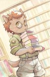 anthro book bottomwear brown_body brown_fur brown_hair canid canine canis chibicheu clothing cyberconnect2 domestic_dog eyewear fuga:_melodies_of_steel fur glasses hair hi_res library little_tail_bronx male mammal shorts socks_million solo suspenders yellow_eyes young