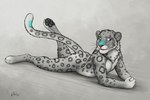 2017 anchee anthro butt claws digital_drawing_(artwork) digital_media_(artwork) fangs felid fur grey_body grey_fur lying male mammal neck_tuft nude on_front on_ground open_mouth pantherine pawpads paws raised_leg raised_tail signature snow_leopard solo tail teeth tongue tuft whiskers