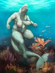 ambient_fish ambient_sealife anthozoan anthro anthro_focus asterozoan beluga big_breasts big_tail breasts casual_nudity cetacean clothing cnidarian coral coral_reef dolphin echinoderm female female_focus feral fin genitals hi_res kaila_(slither) mammal marine molvno monodontid non-mammal_breasts overweight overweight_anthro overweight_female pussy solo solo_focus starfish starfish_(accessory) starfish_bra tail tail_fin thick-tail thick_thighs toothed_whale underwear white_body white_skin