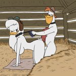 post #2305647
