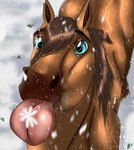 2022 ambiguous_gender blue_eyes brown_body brown_hair brown_mane digital_media_(artwork) dolero equid equine eyebrows feathering feral fur hair hi_res hooves horse looking_at_viewer looking_up mammal mane on_tongue simple_background snow snowflake snowing snowpupcreations solo tongue