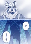 anthro blush canid city comic facial_markings head_markings hi_res japanese_text kazukirakugaki lifewonders live_a_hero male mammal markings muscular muscular_anthro muscular_male night sadayoshi sky star starry_sky suspenders text translated