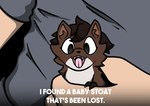 Rating: s
ID: 5536482
Date: 2025-04-28 15:50:58 -0400
Status: active
Score: 34
2025 ambiguous_gender brown_body brown_fur brown_hair clothing dialogue duo english_text feral feral_focus fur grey_clothing grey_shirt grey_topwear hair human larger_human looking_at_viewer mammal multicolored_body multicolored_fur mustelid musteline open_mouth rem_phase shirt size_difference smaller_feral solo_focus stoat text topwear true_musteline two_tone_body two_tone_fur weasel white_body white_fur post #5536482