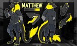 absurd_res anthro black_body black_ears black_fur black_tail chin_tuft dipstick_ears ear_markings facial_tuft fur grey_body grey_fur hi_res inner_ear_fluff male matthew_(requinard) multicolored_ears sergal sharp_teeth shezathesergal tail teeth tuft yellow_body yellow_ears yellow_eyes yellow_fur