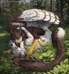 Rating: e
ID: 5594754
Date: 2025-05-24 09:56:26 -0400
Status: active
Score: 25
2024 ambiguous_gender avian beak black_beak black_nose brown_body brown_feathers canid canine day duo ears_back eyes_closed feathered_wings feathers feral fur grass gryphon hi_res himeragoldtail hug licking licking_another lying mammal mythological_avian mythological_creature mythology on_back outside pivoted_ears plant suggestive_pose text tongue tree url white_body white_feathers white_fur wings post #5594754