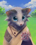 5_fingers blue_eyes blue_sky bust_portrait cheek_tuft cloak clothing cloud cloudweaver_(artist) day detailed_background digital_media_(artwork) digital_painting_(artwork) domestic_ferret facial_tuft fingers fur glistening glistening_eyes glistening_pawpads grass grey_body grey_fur gulonine handpaw hi_res looking_at_viewer mammal marten mustelid musteline outside pawpads paws pink_nose pink_pawpads plant portrait sachii_(resachii) signature sky true_musteline tuft weasel whiskers white_whiskers