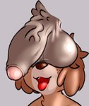 2018 ahegao animal_crossing anthro ball_tuft balls balls_on_face big_balls brown_body brown_fur canid canine canis colored digby_(animal_crossing) digital_drawing_(artwork) digital_media_(artwork) disembodied_penis domestic_dog duo foreskin frumples fur genitals glans grey_background humanoid_genitalia humanoid_penis looking_pleasured male male/male mammal meme nintendo open_mouth open_smile penis pink_glans shih_tzu simple_background smile solo_focus tea_bagging these_aren't_my_glasses thick_penis third-party_edit tongue tongue_out toy_dog tuft vein veiny_penis