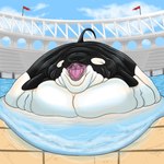 absurd_res arena belly bent_dorsal_fin big_belly black_back black_body cetacean degen_gulch dolphin dorsal_fin fat_rolls female feral fin hi_res huge_belly hyper hyper_belly immobile kerjois male mammal marine morbidly_obese morbidly_obese_feral multicolored_body obese obese_feral oceanic_dolphin open_mouth orca overweight overweight_female overweight_feral sharp_teeth tank teeth toothed_whale vehicle water white_belly white_body