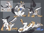 4:3 albatross animal_genitalia animal_pussy anthro avian begging belly biped bird bird_dragon blush butt digital_media_(artwork) dragon feathers female feral flirting fluffy fur furred_dragon furred_scalie genitals grey_background heliofox hi_res hybrid looking_at_viewer mammal model_sheet multiple_poses mythological_creature mythological_scalie mythology nipples open_mouth playful pose presenting presenting_hindquarters procellariiform pussy quadruped reading scales scalie semi-anthro showoff simple_background smile solo tail teasing twig_(heliofox) white_body white_scales wings