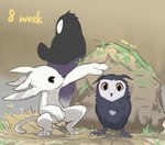 avian beak bird digital_media_(artwork) feathers guardian_spirit hay ku_(ori) mammal measuring microsoft naru_(ori_and_the_blind_forest) ori_(ori) ori_(series) owl ptkd rock simple_background white_body wings xbox_game_studios young