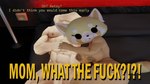 post #4696494