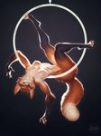 Rating: q
ID: 4687878
Date: 2024-03-29 22:21:38 -0400
Status: active
Score: 492
anthro areola arm_tuft azuza black_claws breasts butt_tuft canid canine cheek_tuft chest_tuft claws closed_smile dipstick_ears dipstick_tail ear_markings elbow_tuft facial_tuft female fox fur hi_res inner_ear_fluff looking_at_viewer mammal markings mouth_closed multicolored_ears neck_tuft nipples nude orange_body orange_eyes orange_fur orange_tail pink_nipples simple_background smile solo subsurface_scattering tail tail_markings tuft whiskers white_body white_fur white_inner_ear_fluff white_tail post #4687878