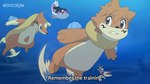 16:9 2023 after_transformation ambiguous_gender arm_fins arrokuda ash_ketchum black_nose brown_eyes buizel clenched_teeth english_text fake_screencap feral fin finneon fish floatzel generation_4_pokemon generation_8_pokemon group hair head_tuft hi_res male_(lore) marine multicolored_body nintendo nude on_model on_style orange_body pokemon pokemon_(anime) pokemon_(species) screencap screencap_background spread_arms style_emulation subtitled swimming tail tail_motion teeth teeth_showing text tuft two_tone_body underwater water watermark widescreen yellow_body zatedraw