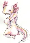 2023 amphibian anthro axolotl biped breasts busty_feral butt external_gills female feral gills hi_res marine mole_salamander nipples non-mammal_breasts salamander solo tail yukikingyoo