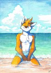Rating: s
ID: 5600757
Date: 2025-05-26 20:20:04 -0400
Status: active
Score: 11
2019 ango76 anthro beach brown_body brown_ears brown_eyebrows brown_fur brown_hands brown_nose canid canine chest_tuft clothing cloud eyebrows eyes_closed fox fur hi_res kneeling male mammal multicolored_body multicolored_fur orange_body orange_fur outside sand sea sky smile solo swimming_trunks swimwear tuft water whiskers white_body white_fur post #5600757