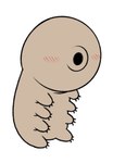 Rating: s
ID: 4733057
Date: 2024-04-20 23:01:45 -0400
Status: active
Score: 3
3_toes 8_legs :o ambiguous_gender bald big_head blush blush_lines chibi claws colored digital_drawing_(artwork) digital_media_(artwork) dreamscreep earless eyeless featureless_crotch feet feral flat_colors full-length_portrait hi_res noseless octoped open_mouth portrait procreate_(artwork) restricted_palette round_head simple_background sitting solo tan_body tan_skin tardigrade toe_claws toes toony white_background wrinkles post #4733057