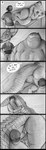 absurd_res anthro anus biped bodily_fluids bottomless breasts butt clothed clothing comic crocodilian doctordj duo female female_anthro female_on_human genital_fluids genitals hi_res human human_on_anthro interspecies male male/female male_human male_on_anthro mammal monochrome olivia_(doctordj) penis pussy reptile scalie slightly_chubby slightly_chubby_female thick_thighs vaginal_fluids