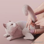 1:1 3d_(artwork) anal anal_fingering anal_penetration anthro bestiality biped blue_eyes digital_media_(artwork) domestic_cat duo felid feline felis female female_feral female_on_human feral feral_penetrated fingering fur fuzzyfelt genitals human human_on_feral human_penetrating human_penetrating_feral humanoid humanoid_genitalia humanoid_penis interspecies larger_human larger_male light_body light_skin looking_at_another looking_at_partner looking_back male male/female male_on_feral male_penetrating_feral mammal nude nude_male paws penetration penis quadruped realistic realistic_feral realistic_human sex simple_background size_difference smaller_female smaller_feral watermark whiskers white_body white_fur