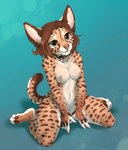 Rating: q
ID: 1411096
Date: 2017-12-27 20:33:09 -0500
Status: active
Score: 239
anthro areola biped blue_background bokeh breasts brown_hair claws collar digital_media_(artwork) felid feline female fur hair hi_res kitty_(mramor) kneeling leash looking_at_viewer mammal markings navel nipples nude serval short_hair simple_background smileeeeeee solo spots spotted_body spotted_fur tail post #1411096