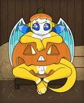 Rating: e
ID: 4371341
Date: 2023-10-24 12:35:45 -0400
Status: active
Score: 26
adobe_photoshop_(artwork) animal_genitalia anthro balls bat blue_eyes digital_media_(artwork) dust:_an_elysian_tail fan_character food fruit genitals hi_res inside_jack_o'_lantern inside_pumpkin jack-o'-lantern male mammal nimbat plant pumpkin sheath sleepysheepy17 solo white_balls wings yasi_auclair post #4371341
