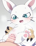 Rating: e
ID: 5269022
Date: 2024-12-27 04:17:52 -0500
Status: active
Score: 158
2024 3_toes anthro anthro_focus anthro_penetrated bandai_namco black_claws black_nose black_whiskers blush blush_lines bodily_fluids censor_bar censored censored_genitalia censored_penis censored_vulva claws cute_fangs digimon digimon_(species) digiphilia duo erection eyelashes faceless_character faceless_human faceless_male fangs feet felid female female_anthro female_focus female_penetrated finger_claws first_person_view fur gatomon genital_fluids genitals hi_res himimi human human_on_anthro human_penetrating human_penetrating_anthro human_pov interspecies larger_human larger_male male male/female male_human male_penetrating male_penetrating_female male_pov mammal markings pawpads penetrating_pov penetration penile penile_penetration penis penis_in_vagina pink_inner_ear pink_pawpads purple_tail sex size_difference smaller_anthro smaller_female smaller_penetrated solo_focus striped_markings striped_tail stripes sweat sweaty_face tail tail_markings teal_eyes tears teeth toes two_tone_tail vaginal vaginal_fluids vaginal_fluids_on_penis vaginal_fluids_on_vulva vaginal_penetration vein veiny_penis vulva whiskers white_body white_ears white_fur white_tail post #5269022