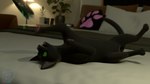 Rating: s
ID: 5555796
Date: 2025-05-07 16:38:11 -0400
Status: active
Score: 7
16:9 2025 3d_(artwork) ambiguous_gender bedroom black_body black_fur blender_(artwork) blender_cycles cat_toy digital_media_(artwork) domestic_cat felid feline felis feral firedorn fur green_eyes hi_res little_kitty_(lkbc) little_kitty_big_city lying mammal on_back open_mouth playful playing playing_with_toys signature solo tail teeth whiskers widescreen post #5555796