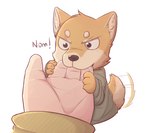 post #2762441