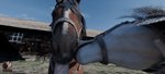 Rating: e
ID: 5284384
Date: 2025-01-03 13:57:59 -0500
Status: active
Score: 492
3d_(artwork) 3d_animation animated barn bestiality digital_media_(artwork) equid equine fellatio feral feral_penetrated first_person_view genitals group horse human human_on_feral human_pov interspecies licking looking_at_viewer male male/male male_human male_pov mammal oral penetration penile penis sex short_playtime tack tongue trio trioami260 post #5284384