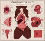 anal anal_penetration anatomical_diagram anatomical_study anatomy anatomy_chart anthro bladder breasts buttplug canid canine cervix chart educational educational_porn english_text esophagus fallopian_tubes female guts heart_symbol hi_res intestines liver lung mammal model_sheet mouth_shot mythological_canine mythological_creature mythology nipples open_mouth organs ovaries penetration pepper_(wonderslug) plug_(sex_toy) sex_toy solo stomach teeth text throat tongue uterus uvula were werecanid werecanine werewolf wonderslug xray_view