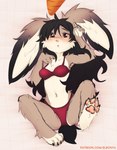 4_toes 5_fingers anthro black_hair blush bottomwear bra brown_eyes carrot clothed clothing elronya feet female fingers floppy_ears fluffy fluffy_ears food freckles fur grey_body grey_fur hair hi_res lagomorph leporid lingerie long_ears long_hair looking_at_viewer mammal navel open_mouth panties plant rabbit red_bra red_clothing red_panties red_underwear ronya solo suvi_(elronya) tail text toes underwear underwear_only url vegetable white_body white_fur