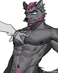 abs anthro beard canid canine canis chai_tailang disembodied_hand duo facial_hair fur grey_body grey_fur hair male mammal muscular muscular_anthro muscular_male nude pecs pleasant_goat_and_big_big_wolf purple_beard purple_facial_hair purple_hair simple_background solo_focus white_background wolf