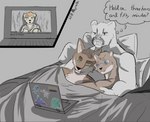 post #4525422