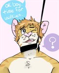 Rating: q
ID: 5603217
Date: 2025-05-27 21:52:32 -0400
Status: active
Score: 14
5_fingers anthro bodily_fluids chest_tuft chuck_(p_rindustries) collar dialogue domestic_cat felid feline felis fingers fur hair hi_res leash leash_pull male mammal messy_hair nervous nervous_sweat one_eye_closed p_rindustries pink_nose question_mark solo striped_body striped_fur stripes submissive sweat tan_body tan_fur tuft walkies whisker_spots white_body white_fur post #5603217