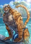 abs absurd_res anthro biceps bulge clothing detailed_bulge felid fur hair hi_res looking_at_viewer male mammal muscular muscular_anthro muscular_male nipples open_mouth orange_body orange_fur outside pantherine partially_submerged pecs solo striped_body striped_fur stripes tail tan_body tan_fur tiger underwear vein water wet wet_body wet_clothing white_hair yukihoshiak