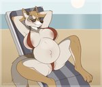Rating: e
ID: 5564708
Date: 2025-05-11 13:40:16 -0400
Status: active
Score: 90
2025 4_toes anthro areola barefoot beach belly big_belly big_breasts bikini bikini_bottom bikini_top black_nose breasts brown_body brown_fur canid canine canis clothed clothing coyote feet female fur genitals grey_body grey_fur hi_res hindpaw mammal manzanita multicolored_body multicolored_fur navel nipple_outline outie_navel paws pregnant pregnant_anthro pregnant_female pussy sea signature skimpy skimpy_bikini smile solo spicychaikitten swimwear tan_body tan_fur toes two-piece_swimsuit water post #5564708
