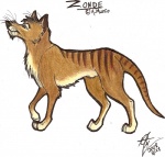 2008 brown_body brown_fur character_name dasyuromorph dated feral fuchsia_(furaffinity) fur hi_res male mammal marsupial nude recently_extinct_species side_view signature simple_background solo stripes tail text thylacine whiskers white_background zonde