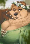 2024 5_fingers anthro bear big_breasts big_cheeks black_nose blurred_background breasts brown_bear brown_body brown_eyes brown_fur brown_hair chubby_cheeks claws cleavage clothed clothing digital_media_(artwork) dipstick_limbs eyebrows eyelashes female fingers flower flower_crown fluffy_ears fur green_clothing green_topwear hair hand_on_cheek huge_breasts lips looking_at_viewer mammal mature_female neck_tuft nora_(tasanko) noviraine overweight overweight_female plant portrait signature smile solo thick_bottom_lip topwear tuft ursine wrinkles