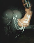 3d_(artwork) absurd_res after_sex animal_genitalia animal_penis anthro anthro_on_feral balls bestiality big_balls big_breasts big_flare big_penis black_body black_fur bodily_fluids bone breasts canid canine cum cum_drip cum_from_pussy cum_in_pussy cum_inside digital_media_(artwork) dripping duo equid equine equine_genitalia equine_penis erection female female_penetrated feral fur genital_fluids genitals hair hi_res horse jinsang_(artist) male male/female male_penetrating male_penetrating_female malo mammal medial_ring monster mottled mottled_genitalia mottled_penis nipples penetration penile penile_penetration penis pull_out scp-1471 scp-1471-a scp-1471-a_(scrag) scp_foundation sex skull_dog skulldog_(species) thick_penis vaginal vaginal_penetration