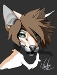 Rating: s
ID: 5593913
Date: 2025-05-23 23:06:08 -0400
Status: pending
Score: 4
3:4 anthro black_lips black_nose brown_background brown_hair bust_portrait canid canine eyelashes fox fur green_eyes hair hi_res lips male mammal orange_body orange_fur portrait short_hair simple_background solo spiky_hair thick_bottom_lip vahnfox white_body white_fur post #5593913