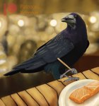 Rating: s
ID: 4432388
Date: 2023-11-23 17:26:39 -0500
Status: active
Score: 18
absurd_res ambiguous_gender avian beak bird bokeh chopsticks claws corvid corvus_(genus) fish fluffy food furniture hi_res marine oscine passerine plate salmon salmonid_(fish) smile solo table tail wings xcoreus post #4432388