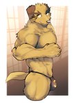 2024 absurd_res anthro asian_clothing asleepchef black_nose canid canine canis clothed clothing domestic_dog east_asian_clothing fundoshi fundoshi_only fur hi_res japanese_clothing lifewonders looking_at_viewer male mammal muscular muscular_anthro muscular_male nobumichi_(tas) portrait solo standing three-quarter_portrait tokyo_afterschool_summoners topless underwear underwear_only yellow_body yellow_fur